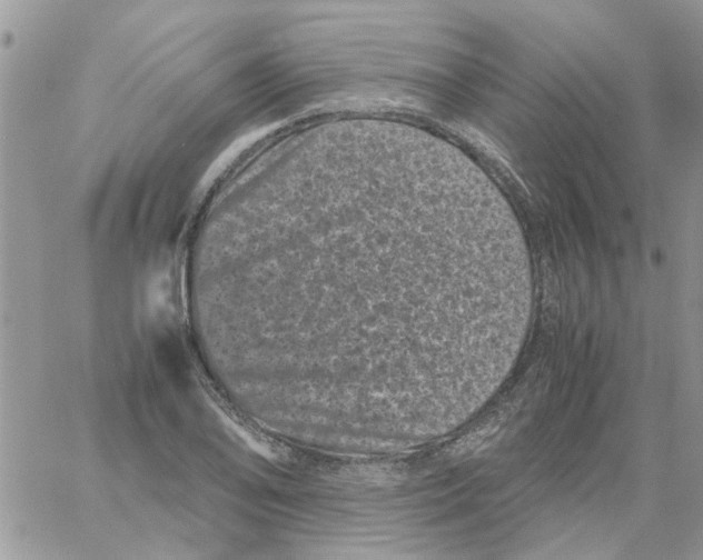 X0000061761078200512302257