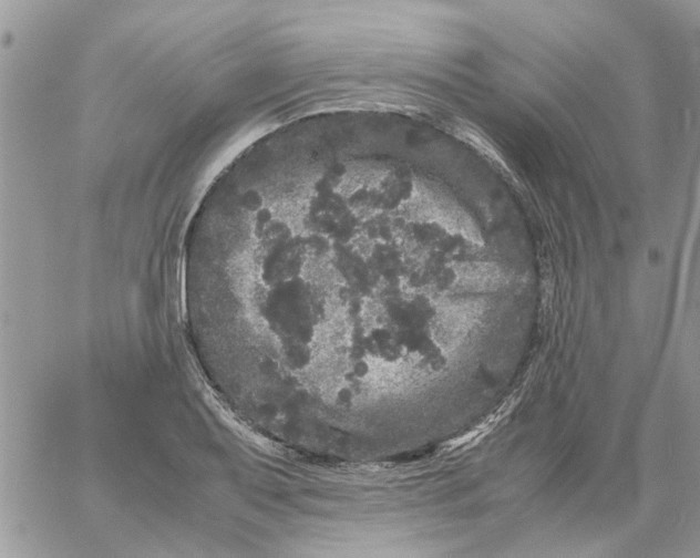 X0000061761079200512302257