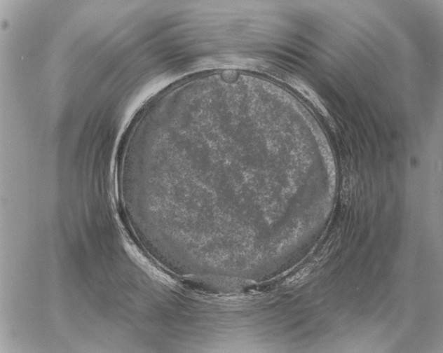 X0000061761080200512302257