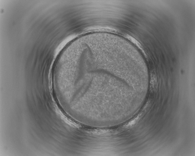 X0000061761082200512302257