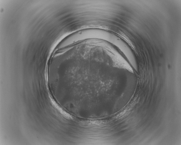 X0000061761084200512302257