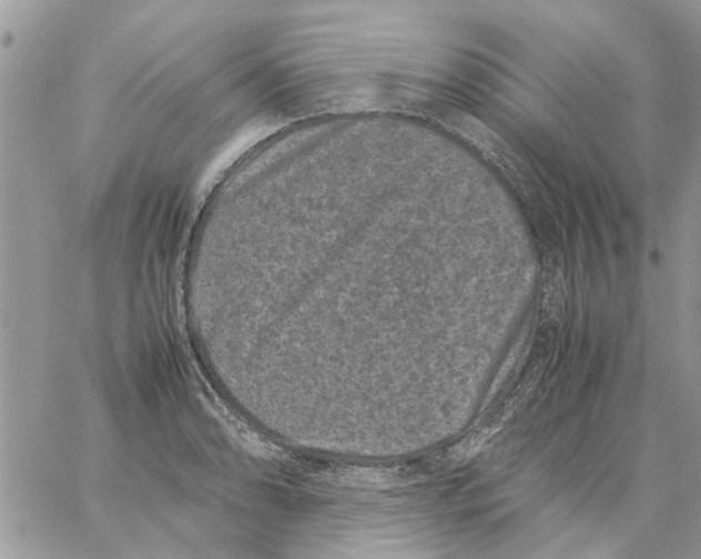 X0000061761086200512302257