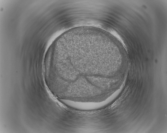 X0000061761088200512302257