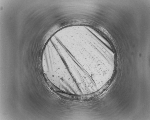 X0000061761089200512302257