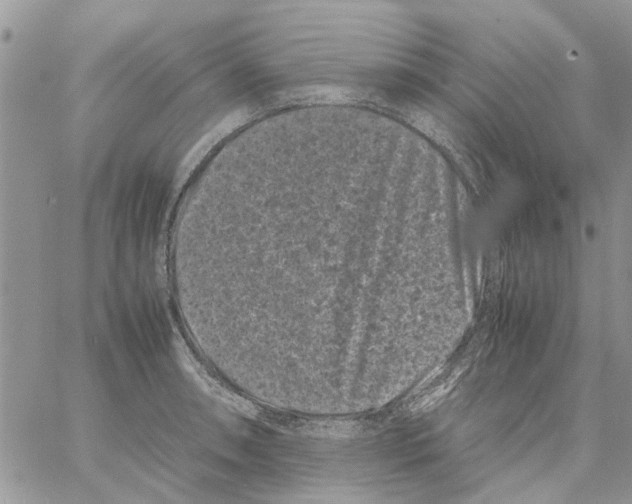 X0000061761090200512302257