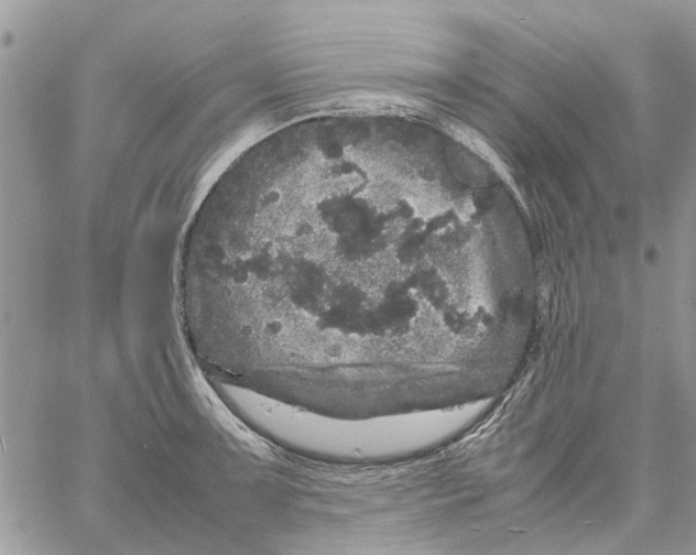 X0000061761091200512302257