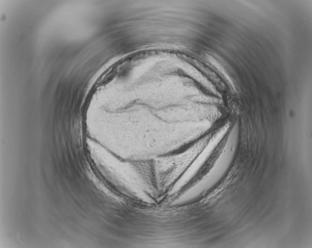 X0000061761092200512302257