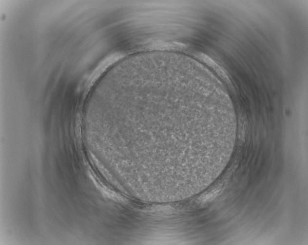 X0000061761094200512302257