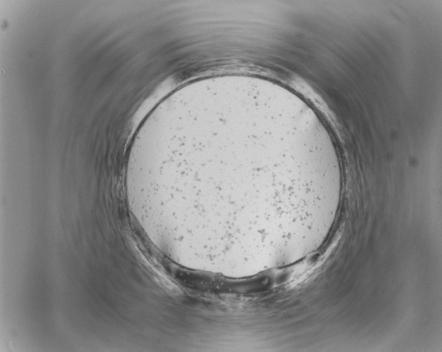 X0000061761097200512302257