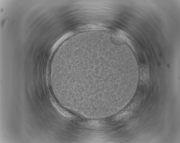 X0000061761098200512302257