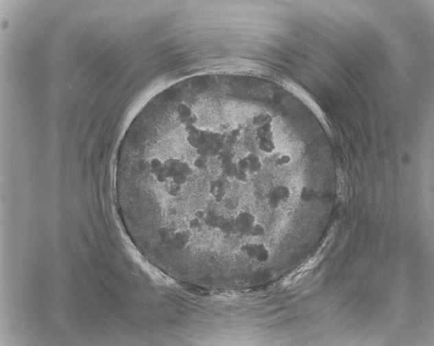 X0000061761099200512302257