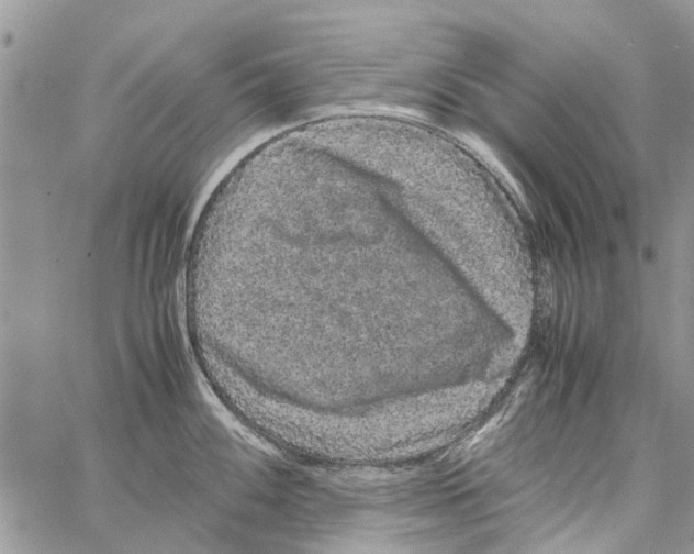 X0000061761100200512302257