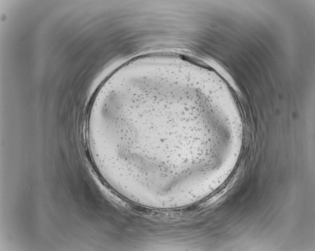 X0000061761101200512302257