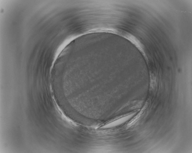 X0000061761102200512302257