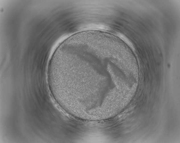 X0000061761104200512302257