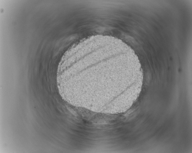 X0000061761105200512302256