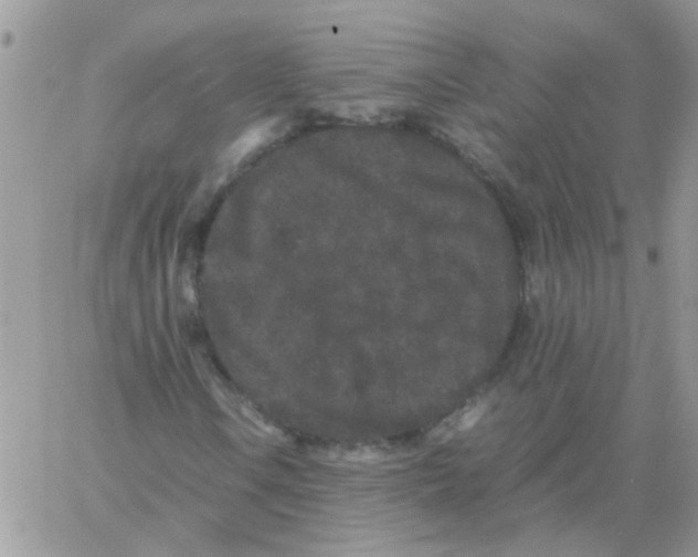 X0000061761106200512302256