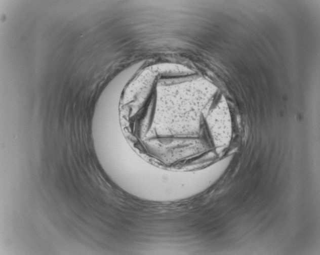 X0000061761108200512302256