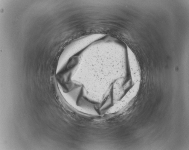 X0000061761109200512302256