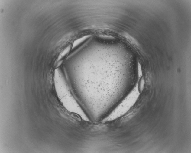 X0000061761110200512302256