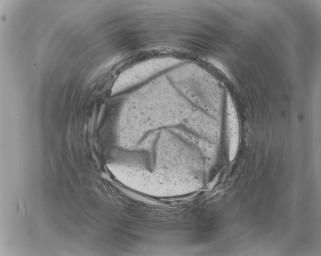 X0000061761111200512302256