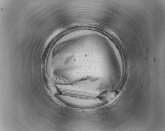 X0000061761114200512302256