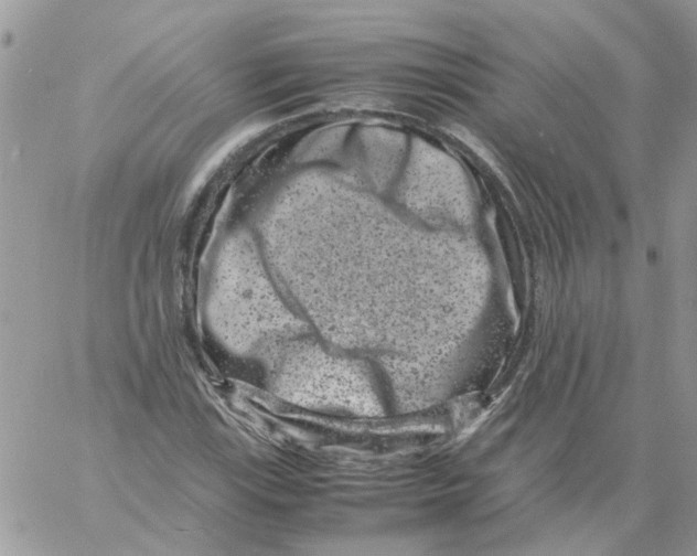 X0000061761115200512302256