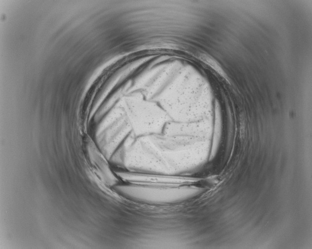 X0000061761116200512302256