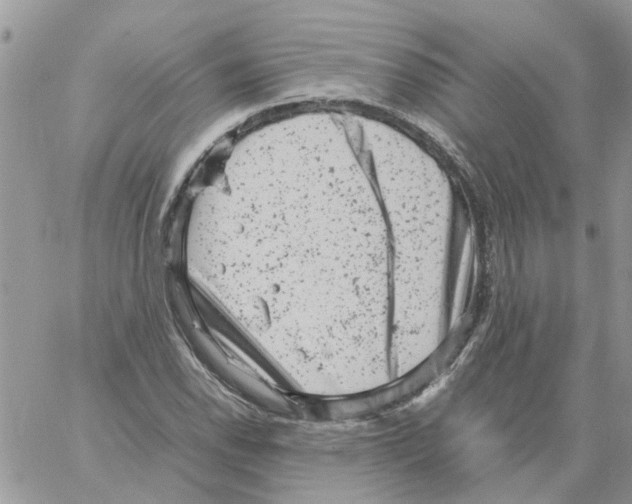 X0000061761118200512302256