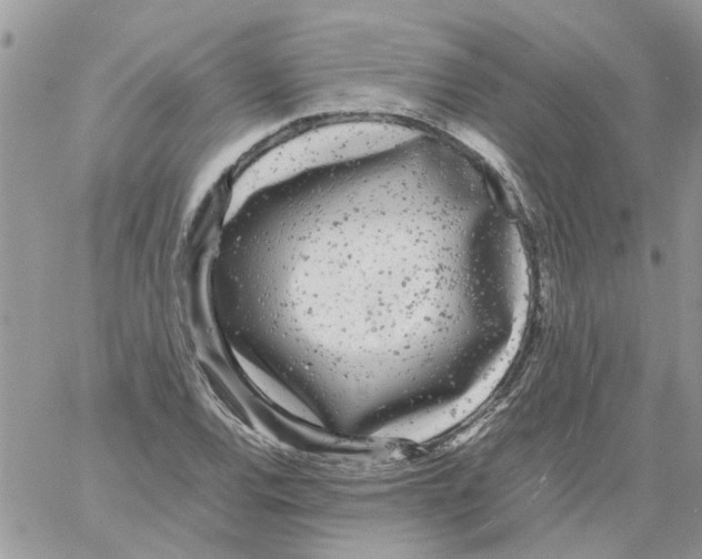 X0000061761120200512302256