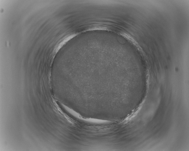 X0000061761121200512302256