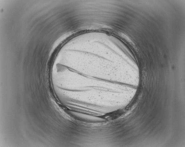 X0000061761122200512302256