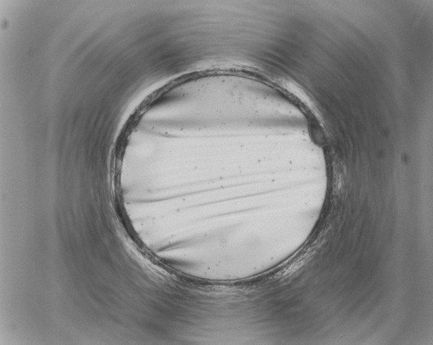 X0000061761124200512302256