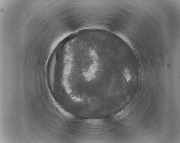 X0000061761127200512302256