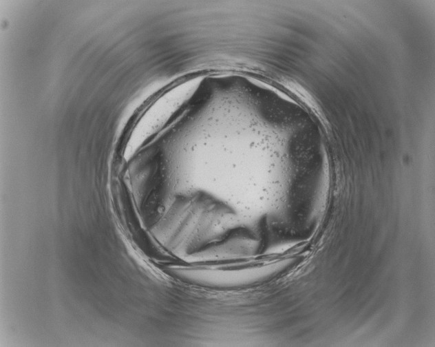 X0000061761128200512302256