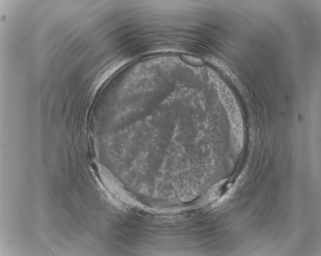 X0000061761129200512302256