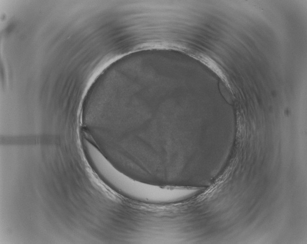 X0000061761132200512302256