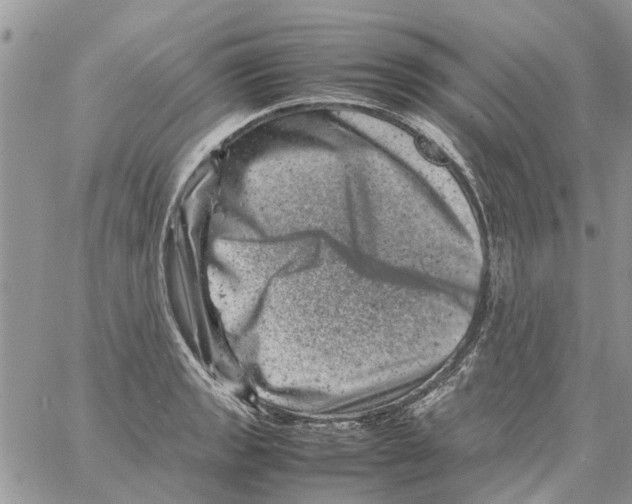 X0000061761133200512302257