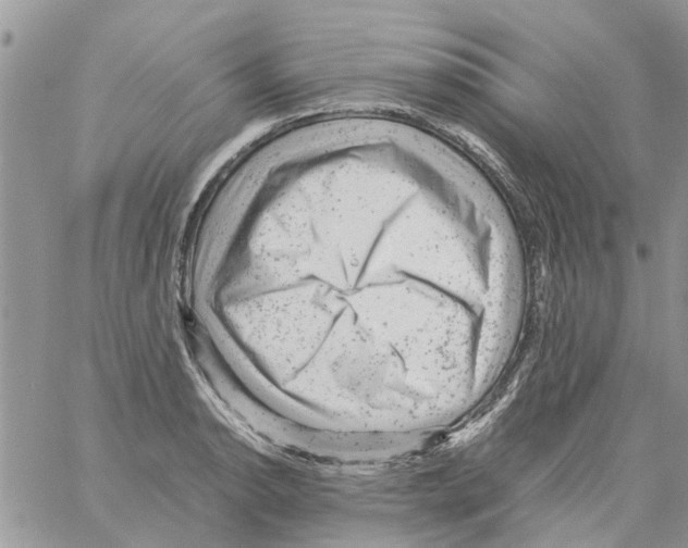 X0000061761134200512302257