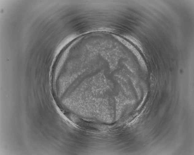 X0000061761135200512302257