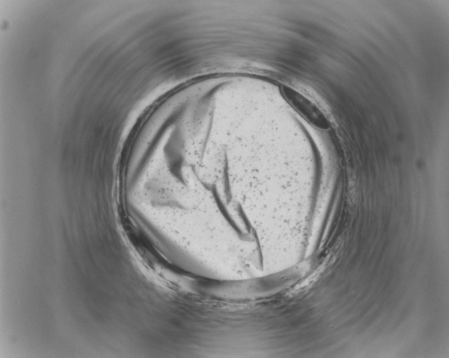 X0000061761136200512302257