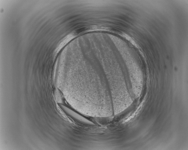 X0000061761137200512302257