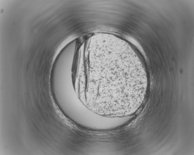 X0000061761138200512302257