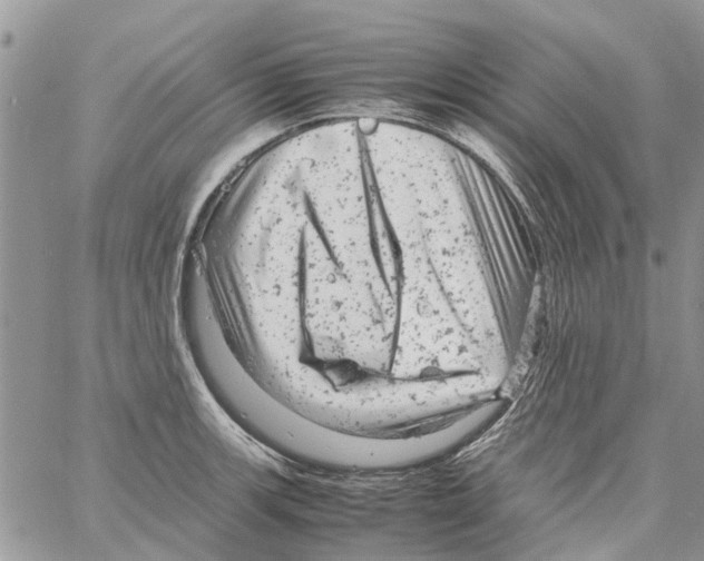 X0000061761139200512302257