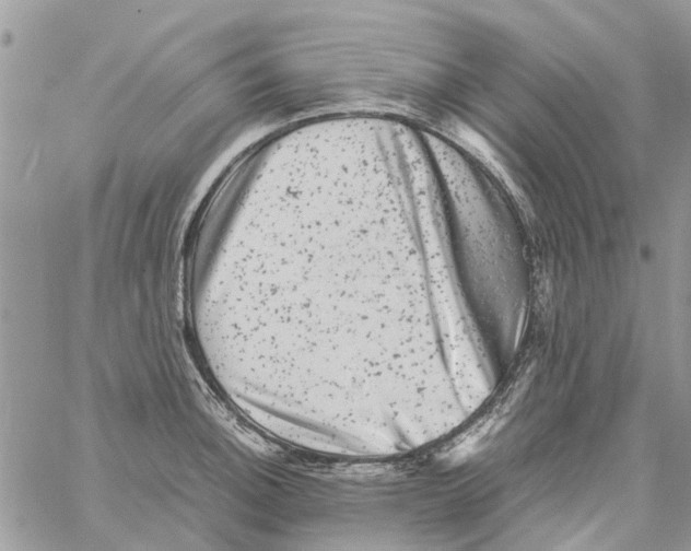 X0000061761140200512302257