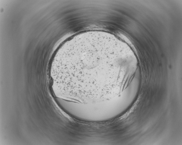 X0000061761141200512302257