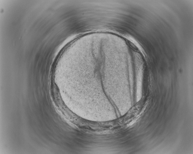 X0000061761142200512302257