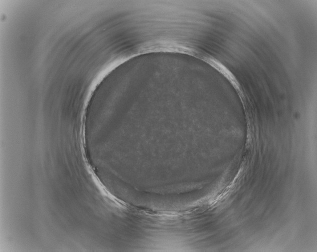 X0000061761144200512302257