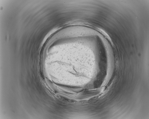 X0000061761146200512302257