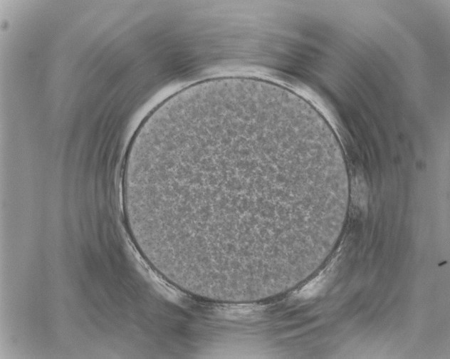 X0000061761150200512302257